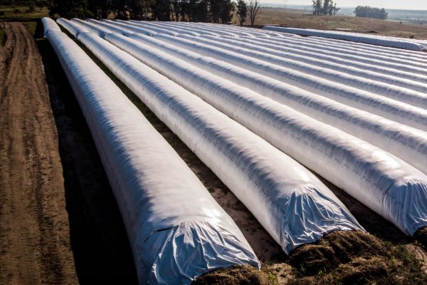 Silagro - Silo Bolsa (Cliente) (13)