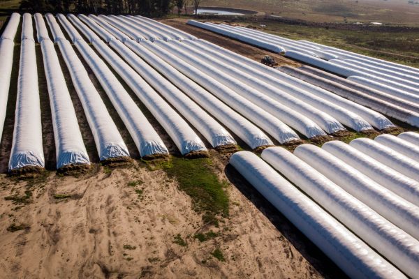 Silagro - Silo Bolsa (Cliente) (14)